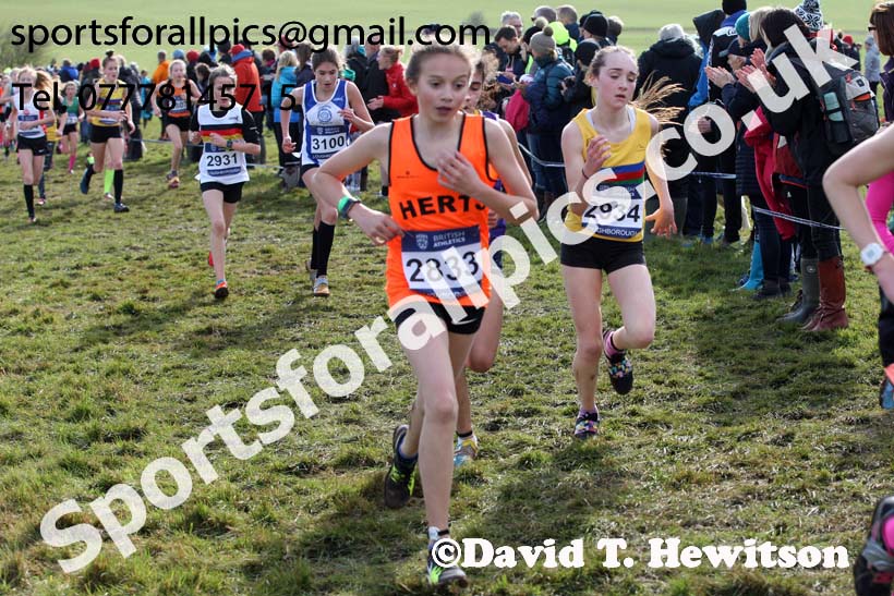 Girls under-13s 2019 British Athletics Inter Counties Cross Country, Prestwood Hall, Loughborough. Photo:  David T. Hewitson/Sports for All Pics